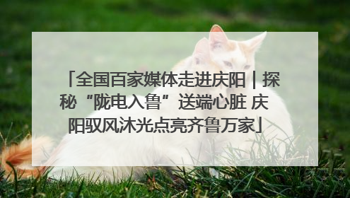 全国百家媒体走进庆阳｜探秘“陇电入鲁”送端心脏 庆阳驭风沐光点亮齐鲁万家
