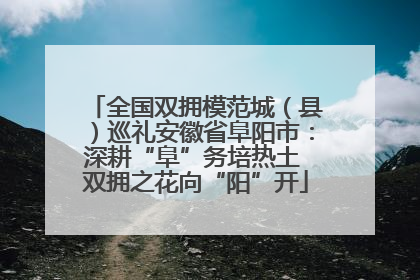 全国双拥模范城（县）巡礼安徽省阜阳市：深耕“阜”务培热土 双拥之花向“阳”开