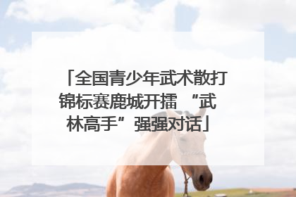 全国青少年武术散打锦标赛鹿城开擂 “武林高手”强强对话