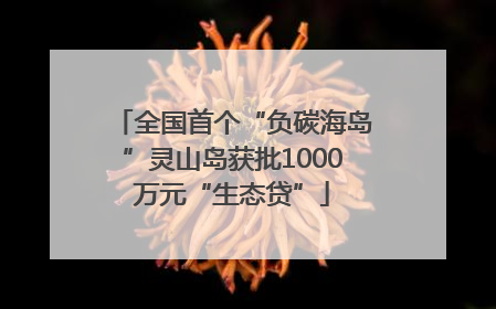 全国首个“负碳海岛”灵山岛获批1000万元“生态贷”