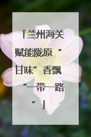 兰州海关赋能陇原“甘味”香飘“一带一路”