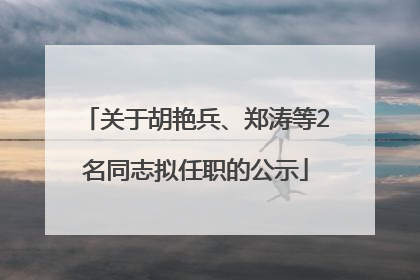 关于胡艳兵、郑涛等2名同志拟任职的公示