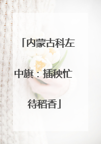 内蒙古科左中旗：插秧忙 待稻香