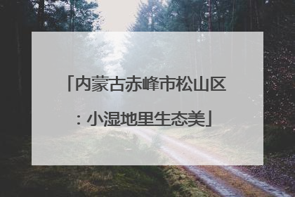 内蒙古赤峰市松山区：小湿地里生态美