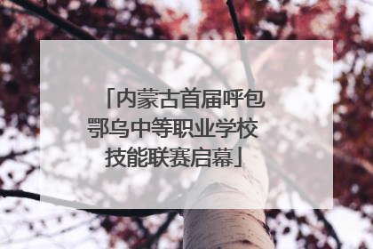 内蒙古首届呼包鄂乌中等职业学校技能联赛启幕