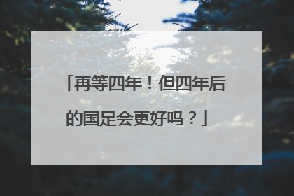 再等四年！但四年后的国足会更好吗？