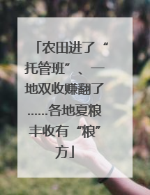 农田进了“托管班”、一地双收赚翻了……各地夏粮丰收有“粮”方