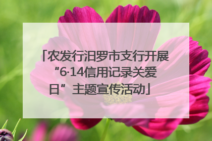农发行汨罗市支行开展“6·14信用记录关爱日”主题宣传活动