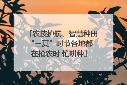 农技护航、智慧种田 “三夏”时节各地都在抢农时 忙耕种