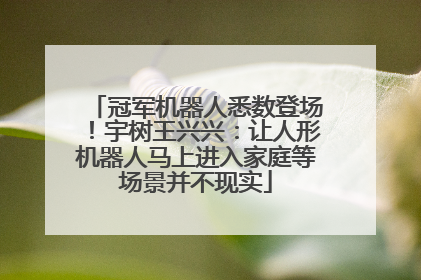 冠军机器人悉数登场！宇树王兴兴：让人形机器人马上进入家庭等场景并不现实