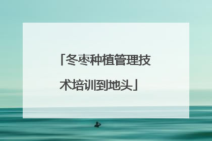 冬枣种植管理技术培训到地头