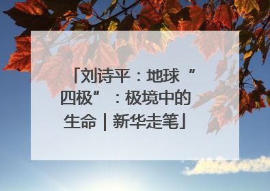 刘诗平：地球“四极”：极境中的生命｜新华走笔