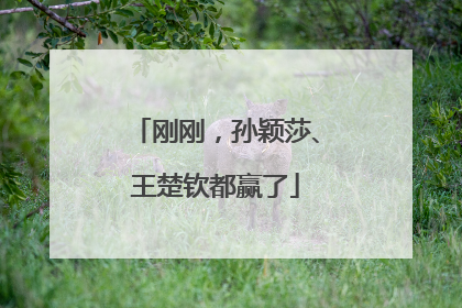 刚刚，孙颖莎、王楚钦都赢了