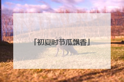 初夏时节瓜飘香