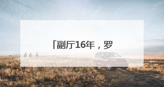 副厅16年，罗试坚职务调整