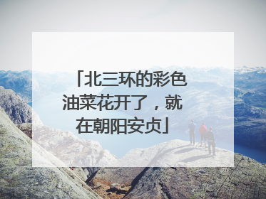 北三环的彩色油菜花开了，就在朝阳安贞