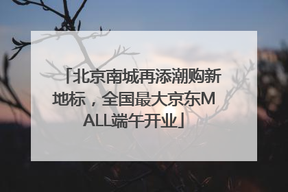 北京南城再添潮购新地标，全国最大京东MALL端午开业