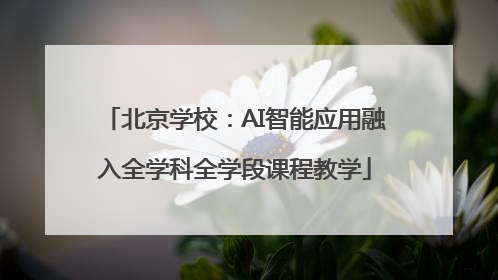 北京学校：AI智能应用融入全学科全学段课程教学