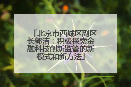 北京市西城区副区长郭洁：积极探索金融科技创新监管的新模式和新方法