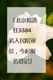 北京拟选任3384名人民陪审员，今起报名登记