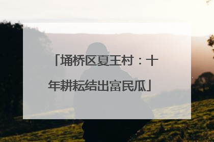 埇桥区夏王村：十年耕耘结出富民瓜