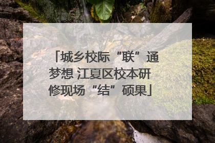 城乡校际“联”通梦想 江夏区校本研修现场“结”硕果