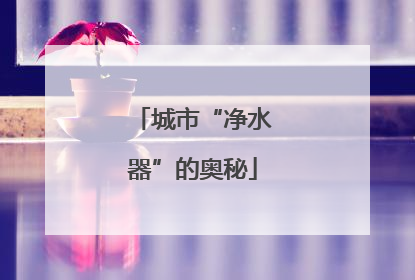 城市“净水器”的奥秘