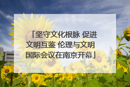 坚守文化根脉 促进文明互鉴 伦理与文明国际会议在南京开幕