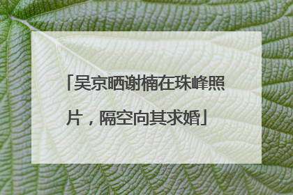 吴京晒谢楠在珠峰照片，隔空向其求婚