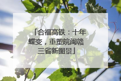 合福高铁：十年蝶变，重塑皖闽赣三省新图景