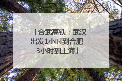 合武高铁：武汉出发1小时到合肥3小时到上海