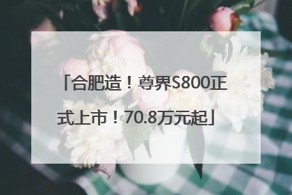 合肥造！尊界S800正式上市！70.8万元起