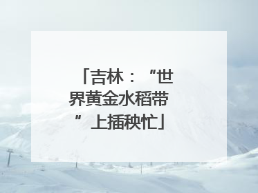 吉林：“世界黄金水稻带”上插秧忙