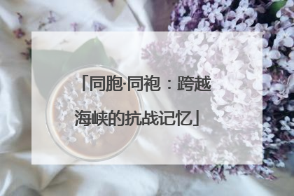 同胞·同袍：跨越海峡的抗战记忆
