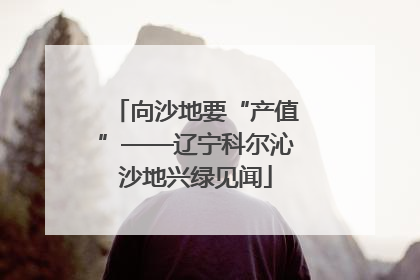 向沙地要“产值”——辽宁科尔沁沙地兴绿见闻