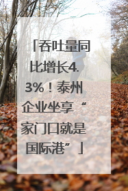 吞吐量同比增长4.3%！泰州企业坐享“家门口就是国际港”