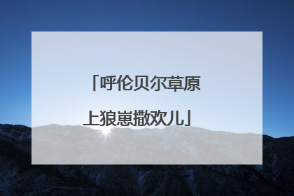 呼伦贝尔草原上狼崽撒欢儿