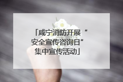 咸宁消防开展“安全宣传咨询日”集中宣传活动