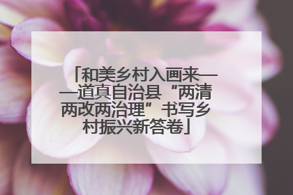 和美乡村入画来——道真自治县“两清两改两治理”书写乡村振兴新答卷