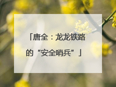 唐全：龙龙铁路的“安全哨兵”