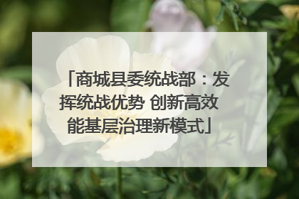 商城县委统战部：发挥统战优势 创新高效能基层治理新模式