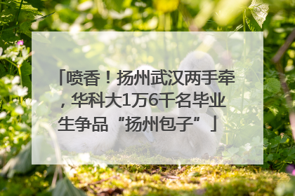 喷香！扬州武汉两手牵，华科大1万6千名毕业生争品“扬州包子”