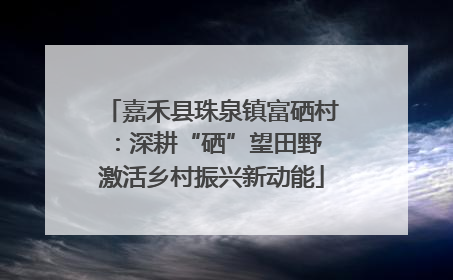 嘉禾县珠泉镇富硒村：深耕“硒”望田野 激活乡村振兴新动能