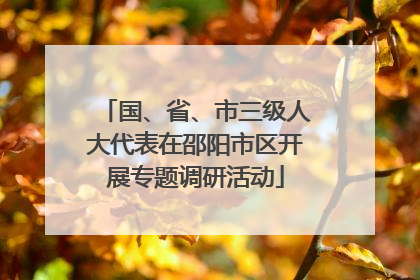 国、省、市三级人大代表在邵阳市区开展专题调研活动
