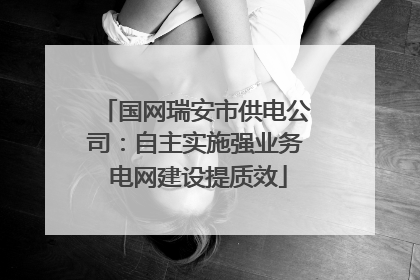 国网瑞安市供电公司：自主实施强业务 电网建设提质效