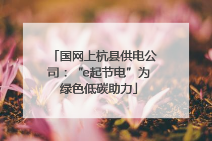 国网上杭县供电公司：“e起节电”为绿色低碳助力