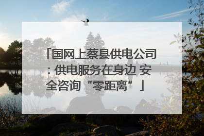 国网上蔡县供电公司：供电服务在身边 安全咨询“零距离”