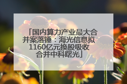 国内算力产业最大合并案落锤：海光信息拟1160亿元换股吸收合并中科曙光
