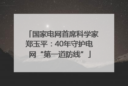 国家电网首席科学家郑玉平：40年守护电网“第一道防线”