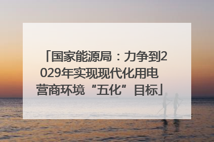 国家能源局：力争到2029年实现现代化用电营商环境“五化”目标